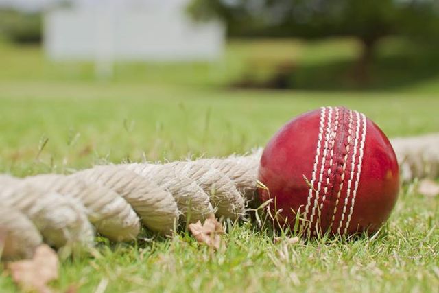 Cricket Tour: Australia vs West Indies in Jamaica