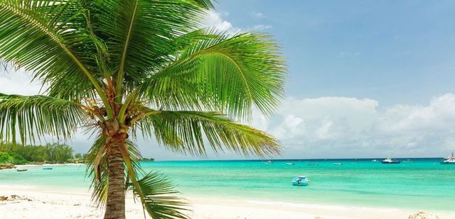 Hike Barbados: Oistins