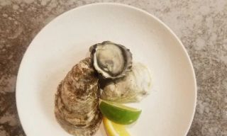 Perla Oyster Bar & Grill