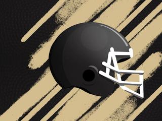 2026 New Orleans Saints Season Tickets (Includes Tickets To All Regular Season Home Games)