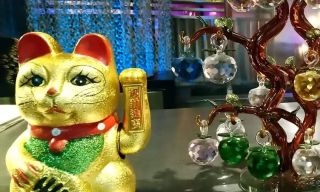 SAII Asian Bistro and Sushi Bar