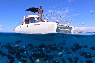 Waikiki: Small Group Turtle Canyon Snorkel Boat Tour