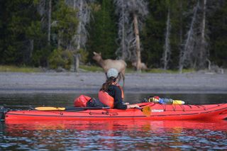 Small-Group Sunset Kayaking Tour on Lake Yellowstone