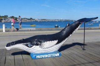 Self-Guided Scavenger Hunt: The Crown Jewel of Cape Cod