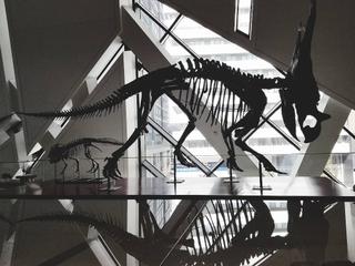 Haunted ROM Tour
