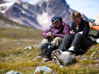 Jasper to Banff One-Way Tour