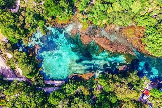 Rainbow Springs: Clear Kayak & Snorkel Eco Tour
