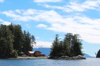 Wildlife Quest and Fin Island Lodge from Sitka