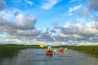 2-Hour Hilton Head Guided Kayak Nature Tour