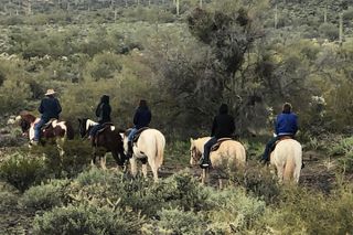 Contact us to book your time. Best Trail Rides in Arizona.