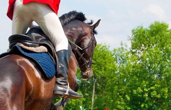Scottsdale Arabian Horse Show Arizona