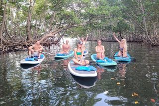 Mangrove Jungle Exploration on SUP/Kayak