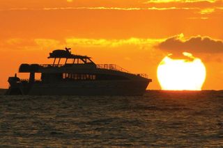 San Diego Dolphin Watch Sunset Cruise on Legacy Whale Watch