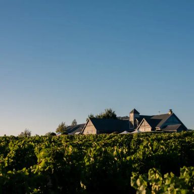 Frogmore Creek Cellar Door & Restaurant