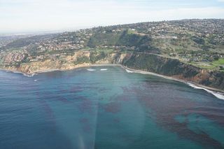 Private Helicopter Tour of Rancho Palos Verdes, Los Angeles, and Long Beach