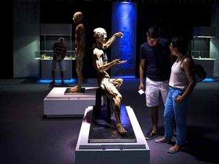 Bodies: The Exhibition