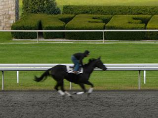Keeneland Fall Race Meet