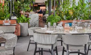 Angelica & Crafthouse