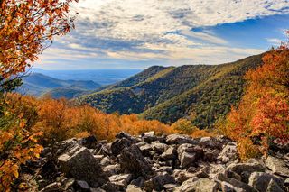 Shenandoah Private Skyline Drive Day Tour From Washington DC