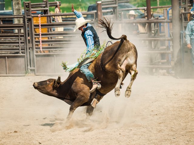 Reno Rodeo