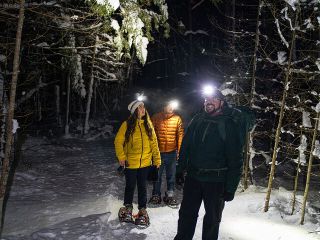 Gatineau Park Nocturnal Snowshoeing Adventure & Dinner - From Ottawa & Gatineau