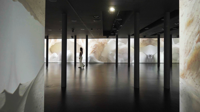 MAD Arts Presents Regenerative Symphony and QUANTUM LENS by Studio Above&Below 