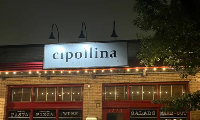 Cipollina