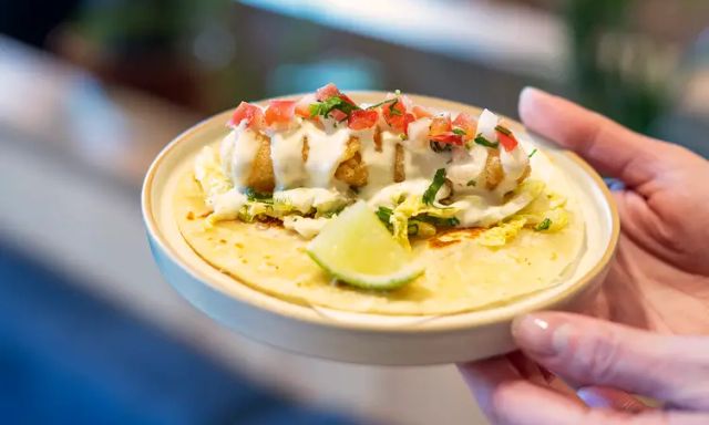 Surfy Surfy - Chinook Centre