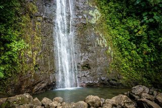 Waikiki Electric Bike Self Guided Tour- Manoa Falls Bike and Hike