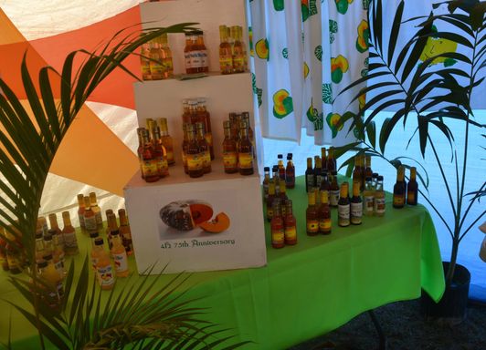 Clarendon 4-H Clubs Parish Achievement Expo 2017