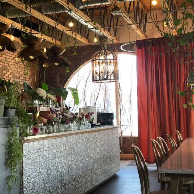 The Moth Cafe