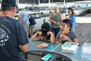 Abalone Farm Tour