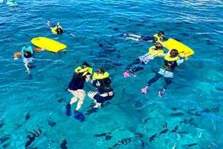 Waikiki Turtle Snorkeling Adventure(8am)