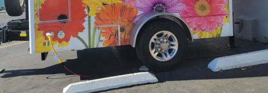 Great Maple San Diego