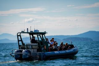 Vancouver's Intimate West Coast Whale Watching Experience