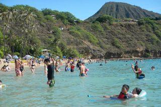 Hanauma Bay Admission Tickets with Transportation