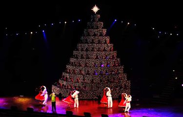 Christmas in the Dells