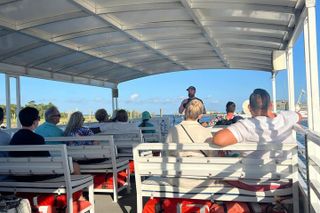 Wild Dolphin Tours and Sunset Cruises in Outer Banks, NC