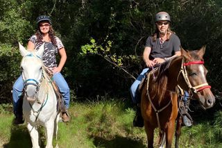 Houston Area: 1-Hour Horseback Ride