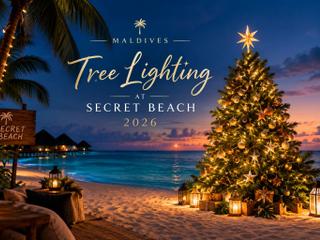 Tree Lighting at Secret Beach 2026