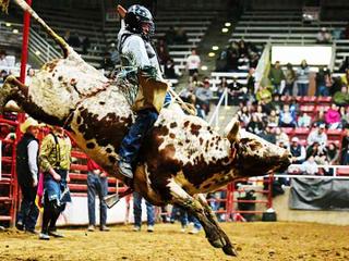 Golden Spike Rodeo (Date TBD)