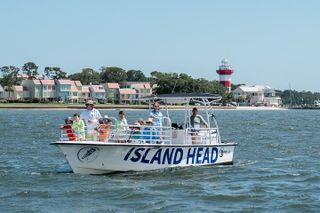 90 Minute Hilton Head Dolphin Tour