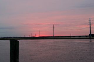 Chincoteague Wildlife Sunset Boat Tour
