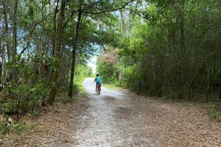 Electric Bike Tour Amelia Island & Big Talbot IS (Small Group)