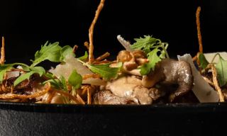 Lamp & Shade Craft Kitchen and Cocktails