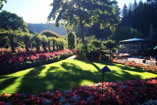 COMBO Victoria City Tour & Butchart Gardens & Entry Tix