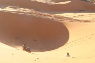 UTV Dune Cruise and Surf at Coral Pink Sand Dunes