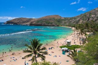 Oahu Island Full-Day Sightseeing Tour