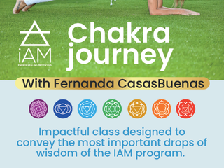 CHAKRA JOURNEY