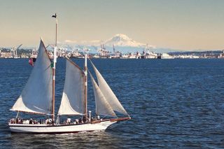 Brunch Cruise with Buffet in Washington